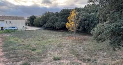 Canet Terrain à bâtir - 2319632-11455annonce120251028NTETy.jpeg Maisons France Confort