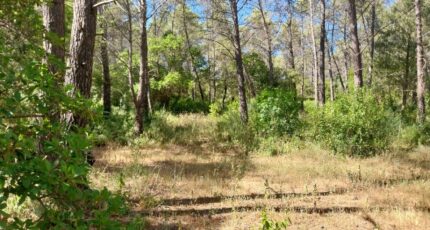 Bagnols-en-Forêt Maison neuve - 2385030-11157annonce220260107LeQ1D.jpeg Maisons France Confort