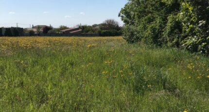 Breuil-Magné Terrain à bâtir - 2385128-10442annonce420260108nSSA2.jpeg Maisons France Confort