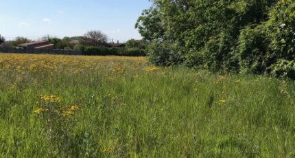 Breuil-Magné Maison neuve - 2385129-10442annonce520260108RaRzN.jpeg Maisons France Confort