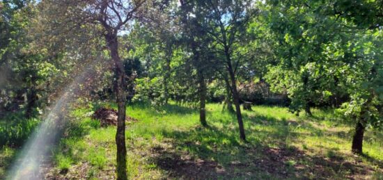 Terrain à bâtir à Le Cannet-des-Maures, Provence-Alpes-Côte d'Azur