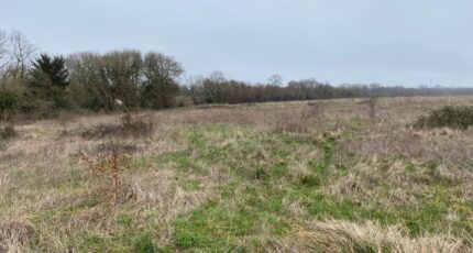 Pont-l'Abbé-d'Arnoult Maison neuve - 2385485-11194annonce220260108t0cl0.jpeg Maisons France Confort