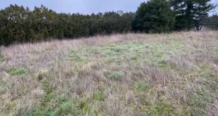 Pont-l'Abbé-d'Arnoult Terrain à bâtir - 2385548-11194annonce220260108V1sqN.jpeg Maisons France Confort