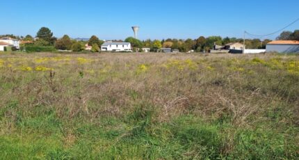 Meschers-sur-Gironde Terrain à bâtir - 2342434-3362annonce120251119wXynH.jpeg Maisons France Confort