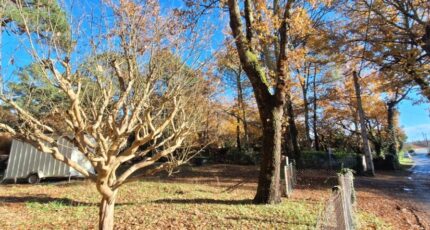 Saint-Palais-sur-Mer Terrain à bâtir - 2358869-3362annonce120251205D2kwx.jpeg Maisons France Confort