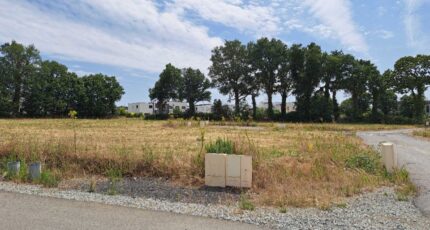 Acigné Terrain à bâtir - 2385578-5289annonce120260108RMI5e.jpeg Maisons France Confort
