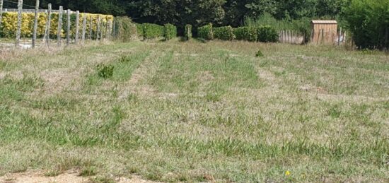 Terrain à bâtir à Périssac, Nouvelle-Aquitaine
