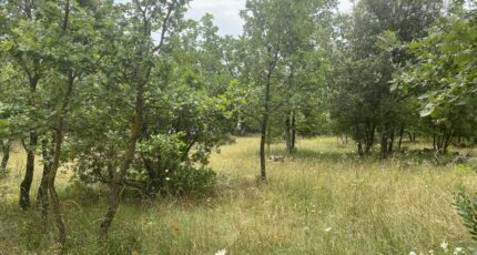 Carnoules Maison neuve - 2385753-5622annonce220260108lsz9q.jpeg Maisons France Confort