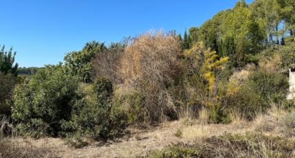 Cuers Maison neuve - 2385811-5622annonce220260108kidib.jpeg Maisons France Confort