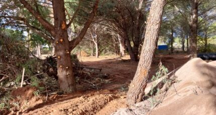 Puget-sur-Argens Maison neuve - 2385917-11157annonce320260108Z9IWM.jpeg Maisons France Confort