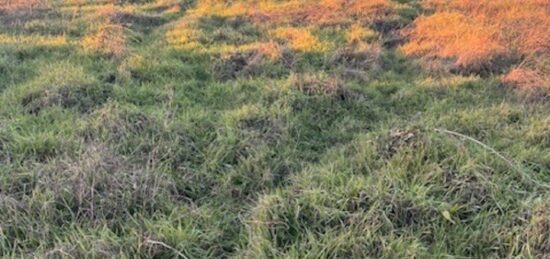 Terrain à bâtir à Podensac, Nouvelle-Aquitaine