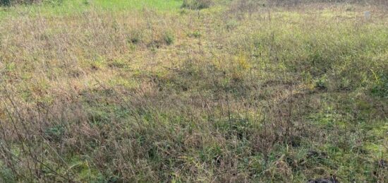 Terrain à bâtir à Langon, Nouvelle-Aquitaine