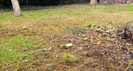 Castres-Gironde Maison neuve - 2386271-3601annonce120260107BA7zw.jpeg Maisons France Confort