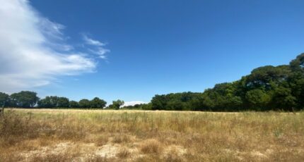 Vérargues Maison neuve - 2330457-3243annonce120251106Qp0ca.jpeg Maisons France Confort