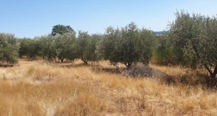 Puget-Ville Maison neuve - 2386528-5622annonce420260109pMH5l.jpeg Maisons France Confort