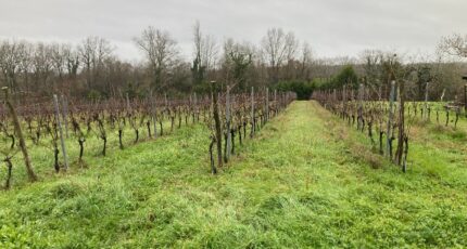 Pineuilh Terrain à bâtir - 2386684-11367annonce120260109lX5gy.jpeg Maisons France Confort