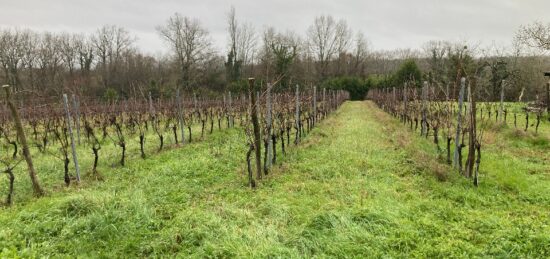 Terrain à bâtir à Pineuilh, Nouvelle-Aquitaine