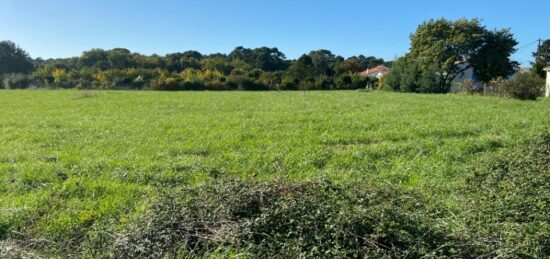 Maison neuve à , Charente-Maritime