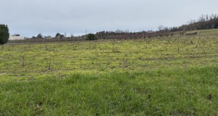 Marmande Maison neuve - 2387087-11292annonce120260109Ecy6m.jpeg Maisons France Confort