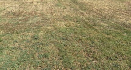 Buzet-sur-Tarn Maison neuve - 2384961-11356annonce220260107sMdai.jpeg Maisons France Confort