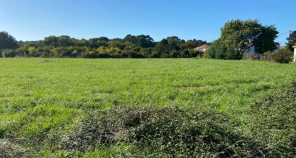 Saint-Palais-sur-Mer Maison neuve - 2387223-11163annonce1202601095wfQe.jpeg Maisons France Confort