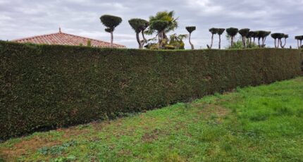 Tignieu-Jameyzieu Maison neuve - 2382300-11092annonce120260102upGXF.jpeg Maisons France Confort