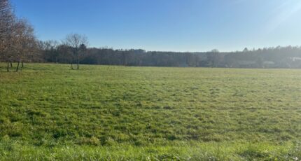 Casteljaloux Terrain à bâtir - 2387599-9795annonce120250315mDvrH.jpeg Maisons France Confort