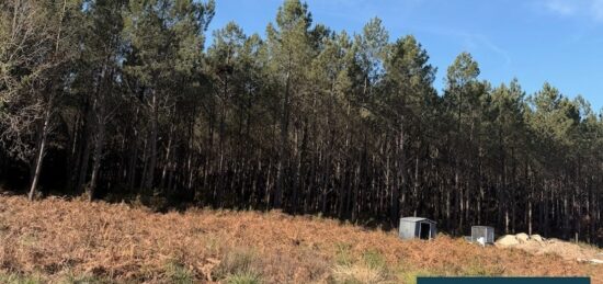 Terrain à bâtir à Vielle-Saint-Girons, Nouvelle-Aquitaine