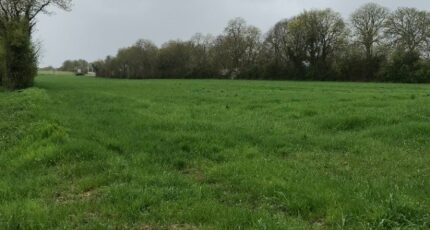 Surgères Maison neuve - 2387606-10442annonce320260109FKfcP.jpeg Maisons France Confort