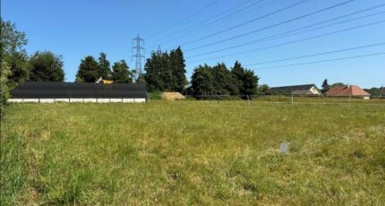 Saint-Nicolas-de-la-Taille Maison neuve - 2300807-1887annonce1202510103fKK5.jpeg Maisons France Confort