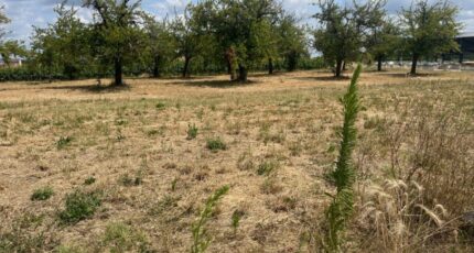 Lévignac-de-Guyenne Maison neuve - 2386288-9795annonce120250306lfuCO.jpeg Maisons France Confort