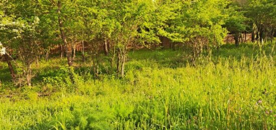 Terrain à bâtir à , Bouches-du-Rhône