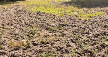 La Brède Terrain à bâtir - 2388695-3601annonce120260112E0oGe.jpeg Maisons France Confort