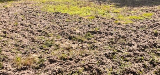 Terrain à bâtir à La Brède, Nouvelle-Aquitaine