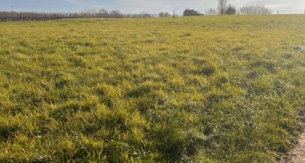 Targon Terrain à bâtir - 2388693-3601annonce120260112eB8lc.jpeg Maisons France Confort