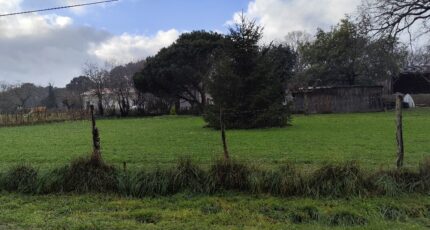 Queyrac Terrain à bâtir - 2387693-11260annonce220260109I3Bcd.jpeg Maisons France Confort