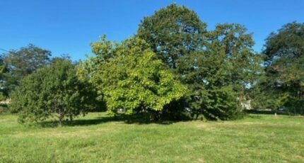 Sin-le-Noble Terrain à bâtir - 2303733-11655annonce220251013J2MCw.jpeg Maisons France Confort