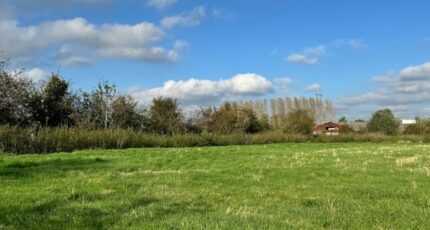 Camphin-en-Pévèle Terrain à bâtir - 2330931-11655annonce1202511065tLyQ.jpeg Maisons France Confort