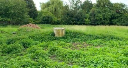 Auchy-lez-Orchies Maison neuve - 2386503-10863annonce1202601090XWn5.jpeg Maisons France Confort