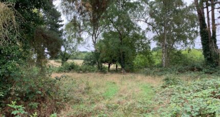 Rambouillet Maison neuve - 2388767-3233annonce120260112VmCLe.jpeg Maisons France Confort