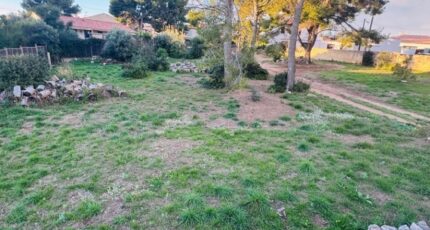 Martigues Maison neuve - 2389379-11677annonce120260112x18Qf.jpeg Maisons France Confort