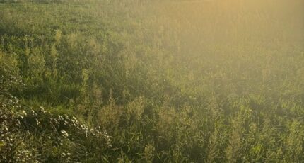 Istres Maison neuve - 2389431-11677annonce320260112y0hdJ.jpeg Maisons France Confort