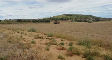 Lignan-sur-Orb Maison neuve - 2389569-11018annonce220260112LzpeE.jpeg Maisons France Confort