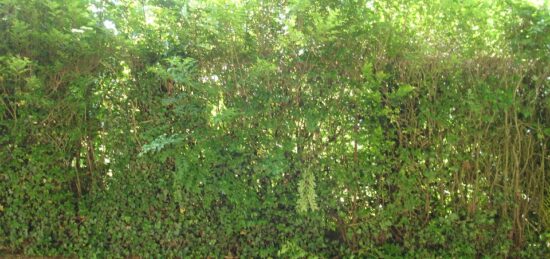 Terrain à bâtir à Chalautre-la-Grande, Île-de-France