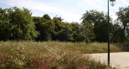 Rozay-en-Brie Terrain à bâtir - 2388747-4353annonce120260112iTBM1.jpeg Maisons France Confort