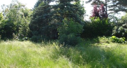 Beton-Bazoches Terrain à bâtir - 2388806-4353annonce120260112VTTN0.jpeg Maisons France Confort