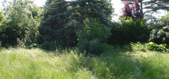 Terrain à bâtir à Beton-Bazoches, Île-de-France