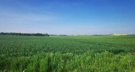 Falaise Terrain à bâtir - 2359290-11227annonce120251205bOU3T.jpeg Maisons France Confort