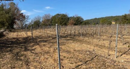 Carcès Terrain à bâtir - 2389502-5922annonce320260112nAIAy.jpeg Maisons France Confort