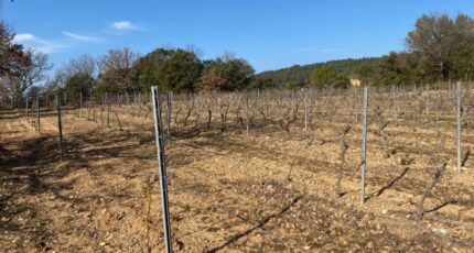 Carcès Terrain à bâtir - 2389502-5922annonce420260112tOg9s.jpeg Maisons France Confort